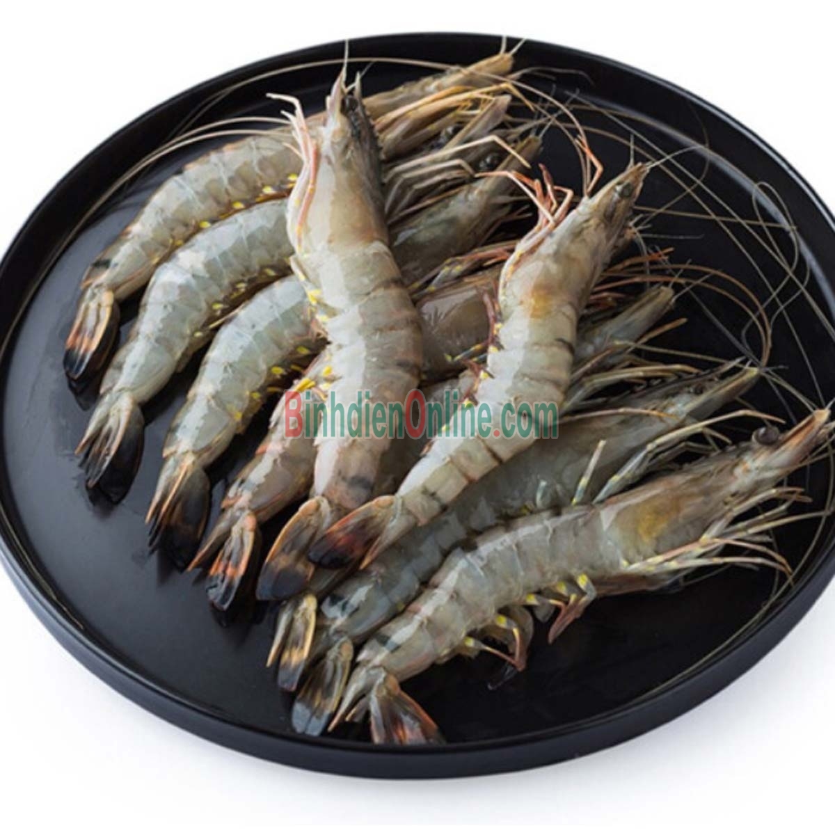 Tôm sú tươi sống giá tốt, nuôi an toàn